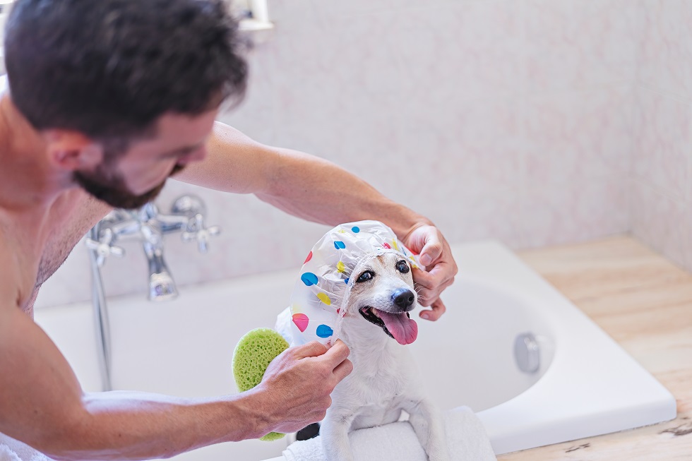 Top Skincare Products for your Dog